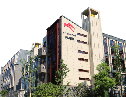 ��ʥ������